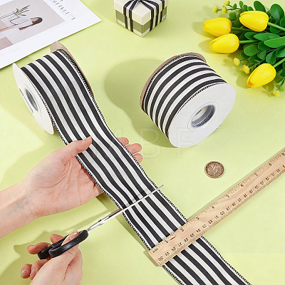 Polyester Ribbon OCOR-WH0111-173-1