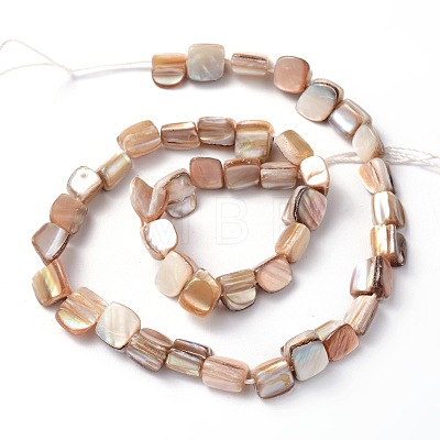 Erose Natural Shell Beads Strands X-PBB071Y-1