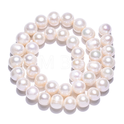 Natural Cultured Freshwater Pearl Beads Strands PEAR-N013-10E-1