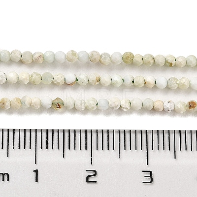 Natural Green Opal Beads Strands G-Z035-A02-01A-1