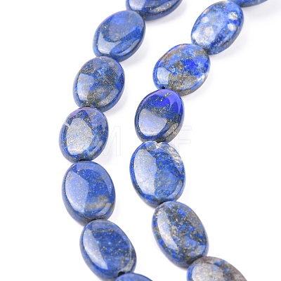 Natural Lapis Lazuli Beads Strands G-K311-12B-02-1