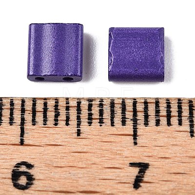 2-Hole Baking Paint Glass Seed Beads SEED-S023-17C-13-1