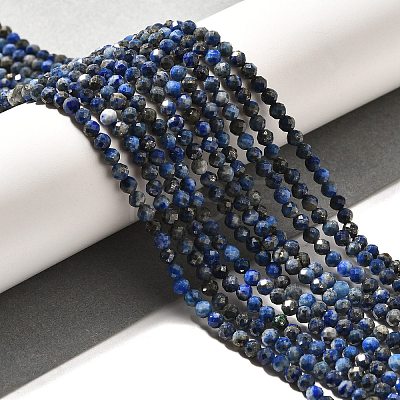 Natural Lapis Lazuli Beads Strands G-Z035-A01-02C-1