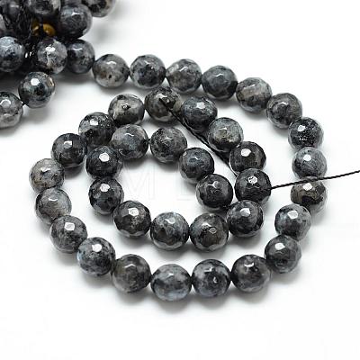 Natural Larvikite Bead Strands G-R176-8mm-07-1