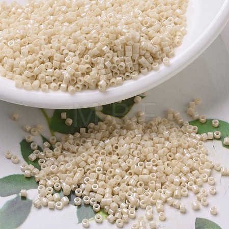 MIYUKI Delica Beads SEED-X0054-DB0204-1