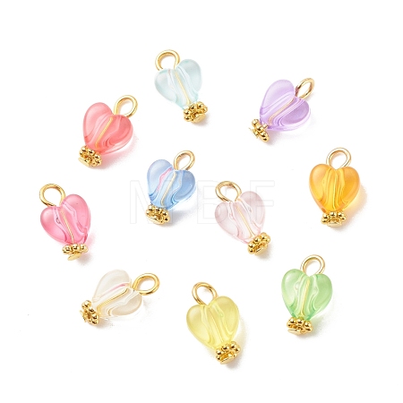 Transparent Acrylic Pendants PALLOY-JF01834-02-1
