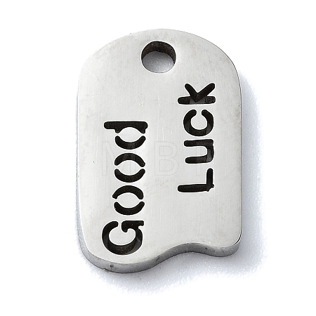Non-Tarnish 304 Stainless Steel Charms X-STAS-C097-41P-1