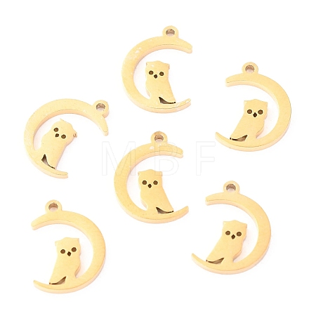 304 Stainless Steel Charms STAS-O142-40G-1
