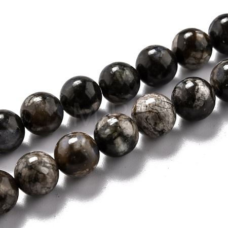 Natural Glaucophane Beads Strands G-L574-01C-1
