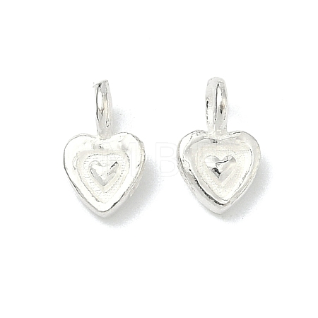 925 Sterling Silver Charms STER-A050-02B-S-1