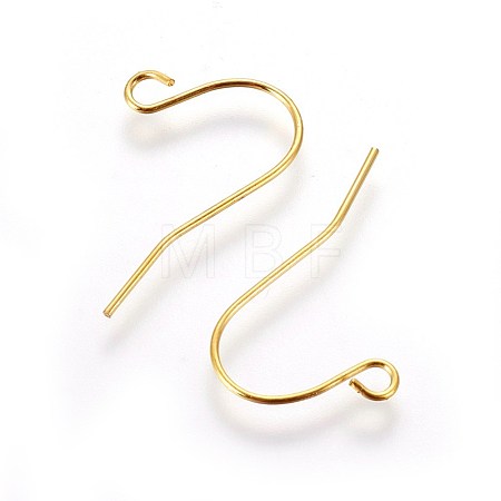 Iron Earring Hooks IFIN-T001-04G-NF-1