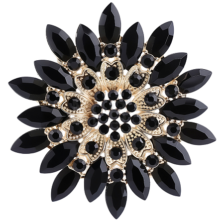 1Pc Alloy Acrylic Lapel Pins for Clothes JEWB-CP0001-55A-1