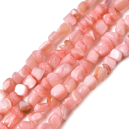Natural Freshwater Shell Beads Strands SHEL-A006-07-1