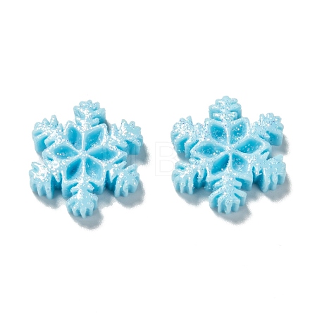Opaque Resin Cabochons CRES-P016-B01-1