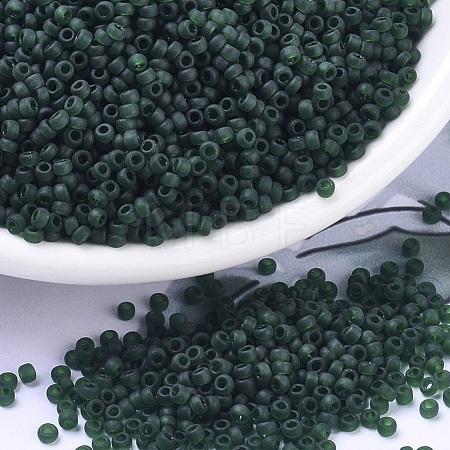MIYUKI Round Rocailles Beads SEED-G007-RR0156F-1