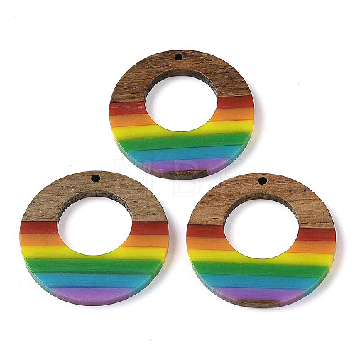 Pride Rainbow Theme Resin & Walnut Wood Pendants WOOD-K012-04-1