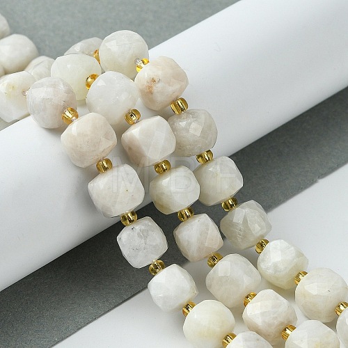 Natural Moonstone Beads Strands G-Q010-A05-01-1