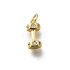 Brass Micro Pave Cubic Zirconia Charms X-KK-P295-19G-1
