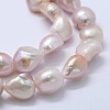 Natural Cultured Freshwater Pearl Beads Strands PEAR-K004-05B-01-3