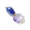 Cat Shapes Glass Links Connector Charms PALLOY-JF03240-5