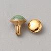 Round Brass Semi-Tublar Rivets FIND-WH0423-44I-1