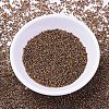 MIYUKI Delica Beads SEED-J020-DB0506-2