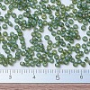 MIYUKI Round Rocailles Beads X-SEED-G007-RR0158FR-4