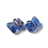 Transparent Lampwork Beads LAMP-P065-06A-01-3