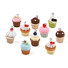Opaque Resin Pendants RE-T003-02-1