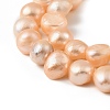 Natural Cultured Freshwater Pearl Beads Strands PEAR-P064-19K-01A-4