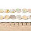 Natural Freshwater Shell Beads Strands BSHE-H018-06-4