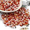 Baking Painted Glass Seed Beads SEED-C004-03J-1