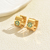 Flat Round Stainless Steel Hoop Earrings TQ3583-3-1