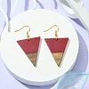 Resin & Walnut Wood Triangle Dangle Earrings EJEW-JE05505-04-3