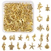 Tibetan Style Alloy Pendants FIND-FS0003-95AG-1