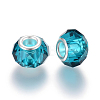 Handmade Glass European Beads LS-X-GPDL25Y-77-2