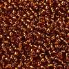 TOHO Round Seed Beads SEED-XTR08-2208-2