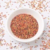 MIYUKI Delica Beads SEED-X0054-DB2063-3