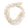 Natural Rainbow Moonstone Beads Strands G-G118-A01-01-3