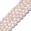 Natural Cultured Freshwater Pearl Beads Strands PEAR-N012-06C-3