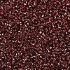 MIYUKI Delica Beads SEED-MY11-DB2160-3