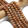 Natural Orange Sesame Jasper Beads Strands G-Z111-A41-1