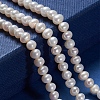 Natural Cultured Freshwater Pearl Beads Strands PEAR-I004-03-4