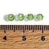 Transparent Glass Beads GLAA-K072-04P-3