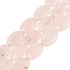 Dyed Natural White Jade Beads Strands G-N370-01A-15-2