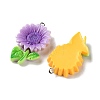 Opaque Resin Pendants RESI-K050-01-2