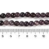 Natural Lepidolite/Purple Mica Stone Beads Strands G-P530-B06-02-5
