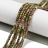 Natural Unakite Beads Strands G-H042-B25-01-2