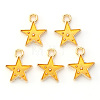 Alloy Enamel Charms X-ENAM-S121-028C-2