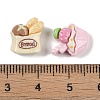 Opaque Resin Imitation Food Decoden Cabochons CRES-M036-01-3